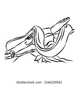 Illustration:Beautiful snake stripes, used in general applications