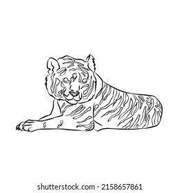 Illustration:Beautiful tiger stripes, used in general applications