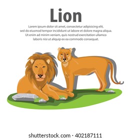 illustration,Cartoon lion Couple
