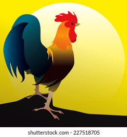 Illustration-Cock