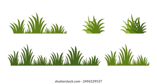 illustrationgreen grass, collection. Nature vector illustration, land ecosystem grass.