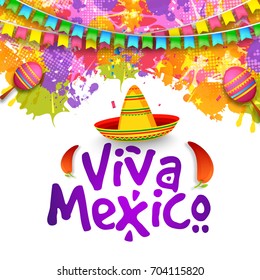 Illustration,poster or banner of viva mexico,Mexican holiday Background.