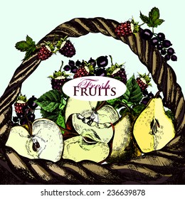 Illustrations basket with  fresh fruit.  Vector.