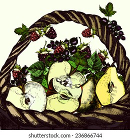Illustrations basket with  fresh fruit.  Vector.
