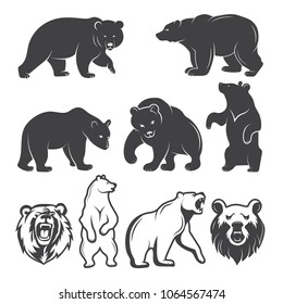 Illustrations of bears. Vector animals set. Animal bear wild, mammal grizzly