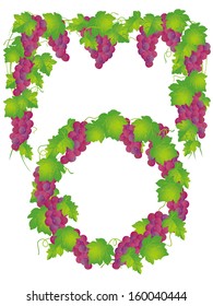 Illustrations of beautiful grapes