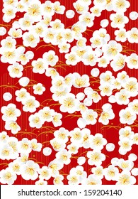 Illustrations of beautiful plum