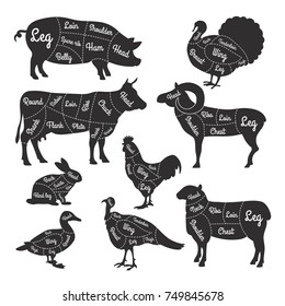 Ilustraciones para carnicería. Cortar líneas de diferentes partes de animales domésticos. Parte de animales de la carnicería vectorial, diagrama de carne esquema de conejo y cordero, ganado y gallo