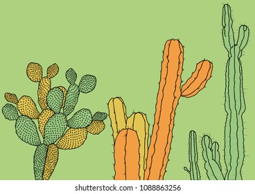 Illustrations of cactus varieties designed in different background colors