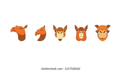Illustrations of a camel face. emojis of different camel face set