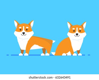Illustrations of cartoon dogs breed Corgi on blue background in flat style