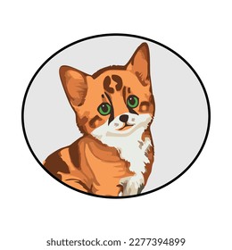 Illustrations of Cats in Circular Photo Frames