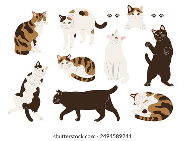 Illustrations of cats in various patterns and poses