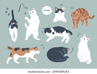 Illustrations of cats in various patterns and poses