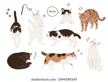 Illustrations of cats in various patterns and poses