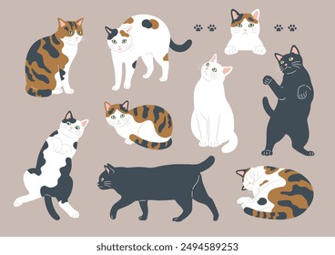 Illustrations of cats in various patterns and poses