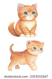 Ilustraciones de gatos en varias poses dibujadas en acuarela