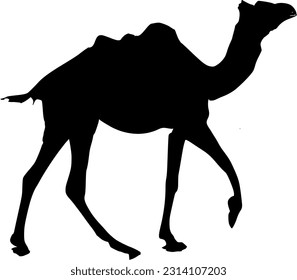 The illustrations and clipart. Black and white silhouette of a camel