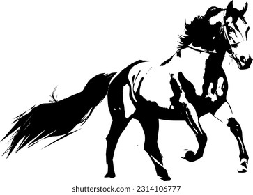 The illustrations and clipart. A black-and-white silhouette of a horse