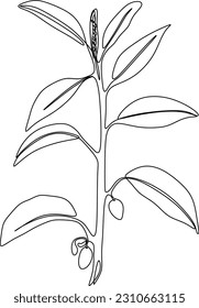 The illustrations and clipart. an outline sketch of a black and white small wild tree.	
