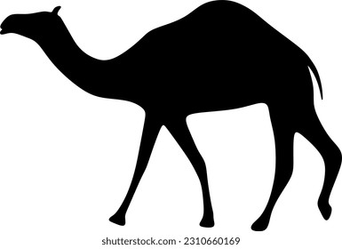 The illustrations and clipart. silhouette of a camel