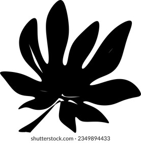 The illustrations and clipart silhouette of a leaf isolated on white
