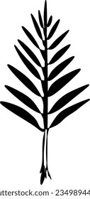 The illustrations and clipart silhouette of a leaf isolated on white