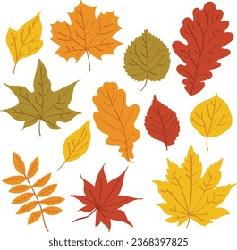 Illustrations of Colorful leaves in autumn illustration set