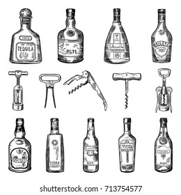 Illustrations of corkscrew and different wine bottles. Alcohol tequila and rum, absinthe and baileys, cognac and whisky vector