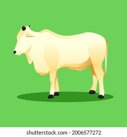 illustrations of cows that can be used in various things such as books, presentations, websites, flyers, and things related to Eid al-Adha.