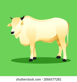 illustrations of cows that can be used in various things such as books, presentations, websites, flyers, and things related to Eid al-Adha.