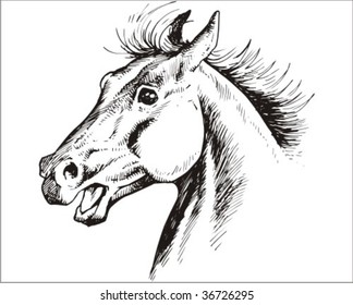illustrations created by hand and last to digital of very high quality to satisfy the necessities of the designers