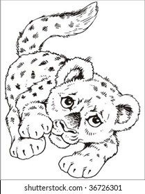 illustrations created by hand and last to digital of very high quality to satisfy the necessities of the designers