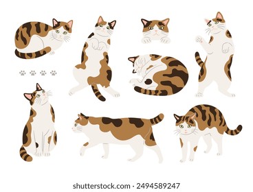 Ilustraciones de lindos gatos calico en varias poses