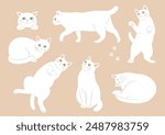 Illustrations of cute cats in various poses. Variations of white cats
