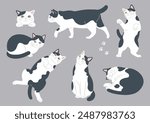 Illustrations of cute cats in various poses. Variations of black and white cats