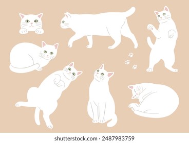 Illustrations of cute cats in various poses. Variations of white cats