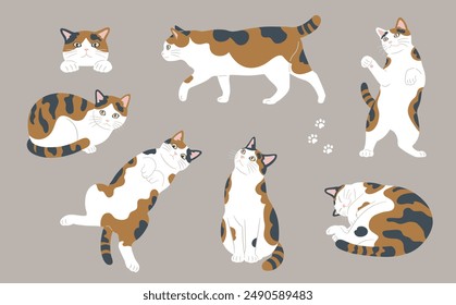 Illustrations of cute cats in various poses. Variations of calico cats.