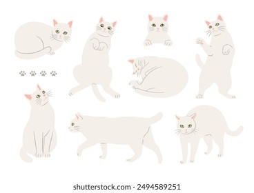 Illustrations of cute white cats in various poses