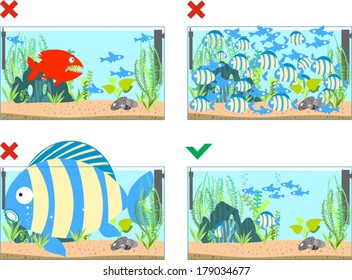 Illustrations depicting the good and bad maintenance aquarium