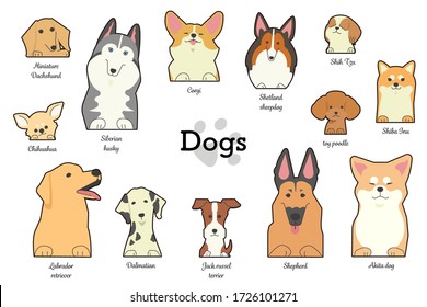 Illustrations of different types of dogs with forepaws and names of dogs