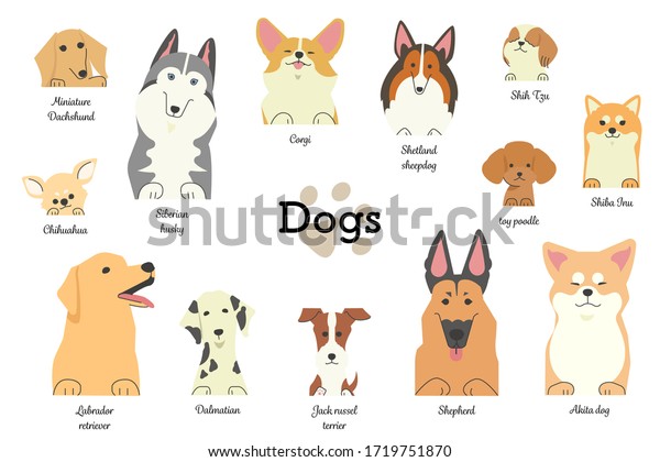 犬の前足と名前を使った犬のイラスト のベクター画像素材 ロイヤリティフリー
