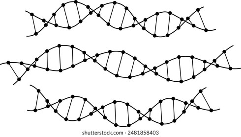 Illustrations of DNA strand fragments