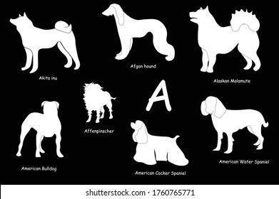 illustrations of dog breeds. White silhouettes on black background. Dog's alphabet. Letter A. Akita inu, Afgan hound, Alaskin Malamute, Affenpinscher, American bulldog, cocker spaniel, water spaniel