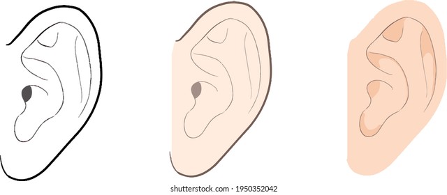 Illustrations Ear Line Color Stock Vector (Royalty Free) 1950352042 ...