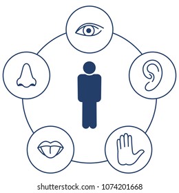 illustrations of the five senses, a person stands in the center around him icons of the ear, eye, nose, mouth, tongue and palm, symbolic signs of sight, smell, taste, touch and hearing