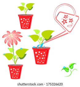Illustrations with flower and watering can