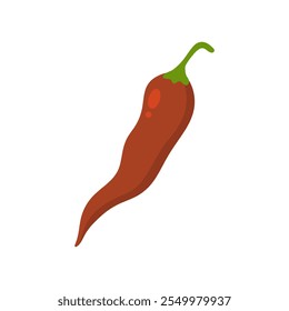 illustrations of fresh red chili. chili pepper vegetable for cooking meals