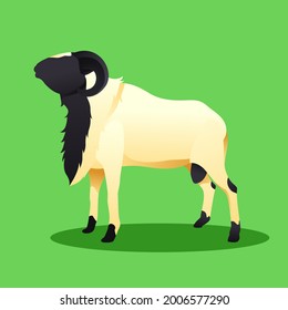 illustrations of goats that can be used in various things such as books, presentations, websites, flyers, and things related to Eid al-Adha.