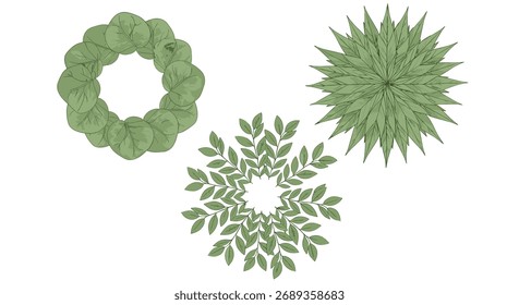 Illustrations of green botanical elements arranged in circular patterns.